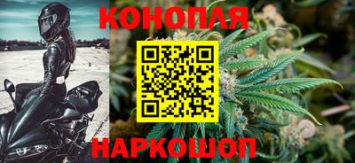 СК Лесосибирск