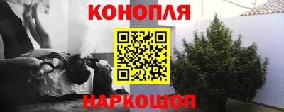 СК Лесосибирск