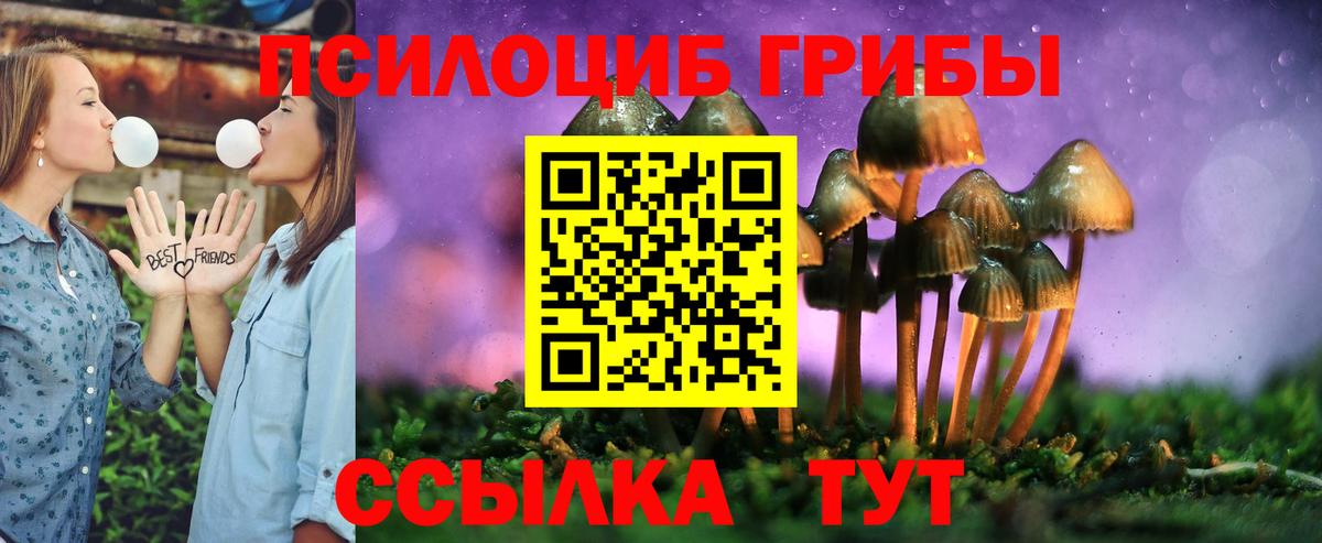 Галлюциногенные грибы Psilocybine cubensis Ухта
